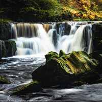 Buy canvas prints of Nelly Ayre force in the Yorkshire moors near Goathland 487 by PHILIP CHALK