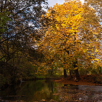 Buy canvas prints of Autumn in Uppermill by Jeni Harney