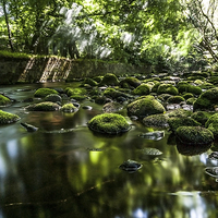 Buy canvas prints of Chew Brook, Greenfield by Jeni Harney