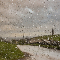 Buy canvas prints of Through the Rain by Jeni Harney