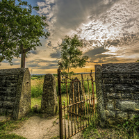 Buy canvas prints of The Rusty Gate by Jeni Harney