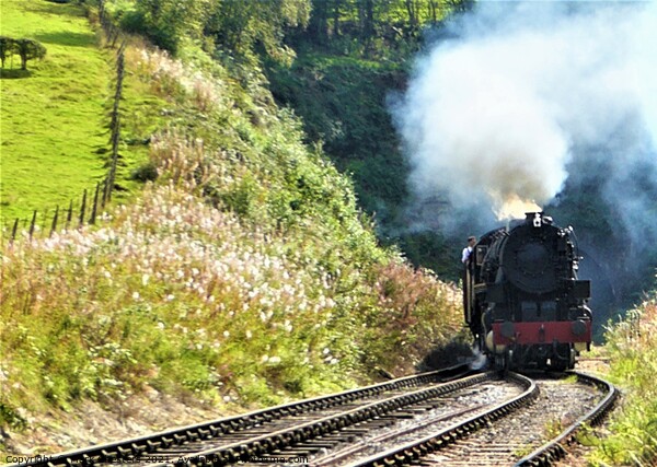 Majestic Steam Engine Emerging from a Lush Tunnel Picture Board by Mark Chesters