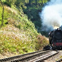 Buy canvas prints of Majestic Steam Engine Emerging from a Lush Tunnel by Mark Chesters