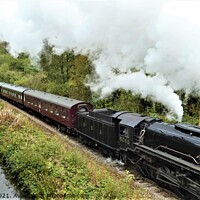 Buy canvas prints of The Majestic Steam Train Rushing Through the Fores by Mark Chesters