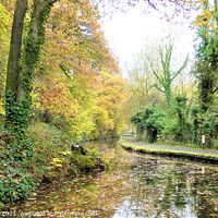 Buy canvas prints of Serene Autumn Caldon Canal by Mark Chesters