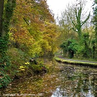 Buy canvas prints of Enchanting Autumn Canal by Mark Chesters