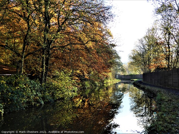 Enchanting Autumn Canal Picture Board by Mark Chesters