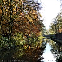 Buy canvas prints of Enchanting Autumn Canal by Mark Chesters