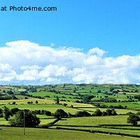 Buy canvas prints of Serene British Countryside by Mark Chesters