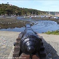 Buy canvas prints of Fishguard Cannon and harbour by Mark Chesters