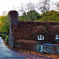 Buy canvas prints of A Timeless Cottage Amidst Nature by Mark Chesters