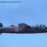 Buy canvas prints of Majestic Avro Lancaster Bomber by Mark Chesters