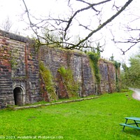 Buy canvas prints of Froghall Lime Kilns by Mark Chesters