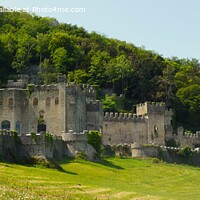 Buy canvas prints of Enchanted Castle on Lush Green Field by Mark Chesters