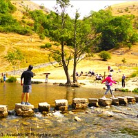 Buy canvas prints of Crossing the River at Dovedale Stepping Stones by Mark Chesters