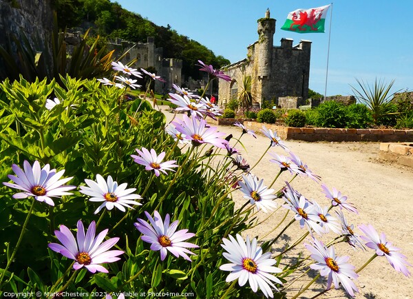 Gwrych Castle flowers Picture Board by Mark Chesters