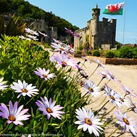 Buy canvas prints of Gwrych Castle flowers by Mark Chesters