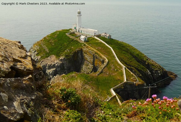 South Stack lighthouse  Picture Board by Mark Chesters