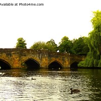 Buy canvas prints of Bakewell Bridge by Mark Chesters