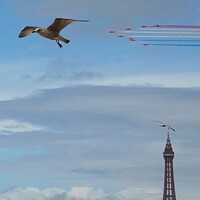 Buy canvas prints of Red Arrows over Blackpool Tower 2023 by Mark Chesters
