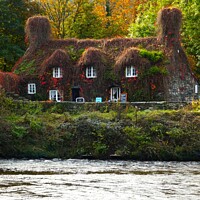 Buy canvas prints of Autumn colours at Llanrwst tearoom by Mark Chesters