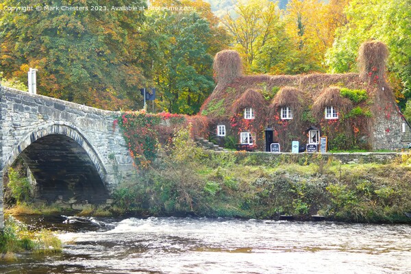 Llanrwst Tearoom and river Picture Board by Mark Chesters