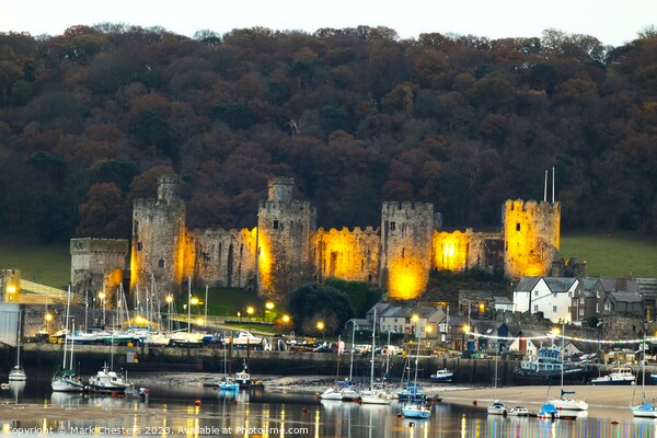 Conwy Castle at dusk Picture Board by Mark Chesters