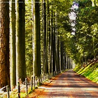 Buy canvas prints of Avenue of trees by Mark Chesters