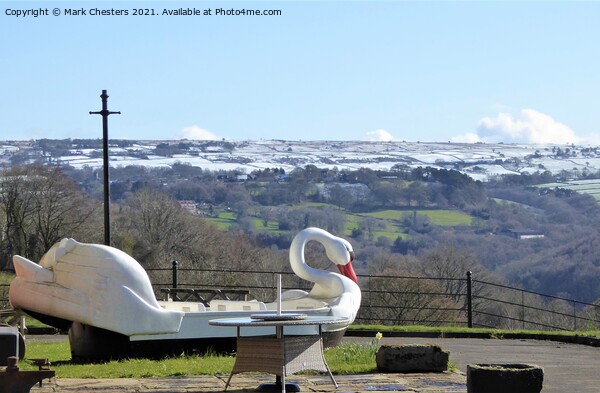 Alton Towers Retired Swan admiring the view Picture Board by Mark Chesters