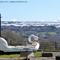 Buy canvas prints of Alton Towers Retired Swan admiring the view by Mark Chesters