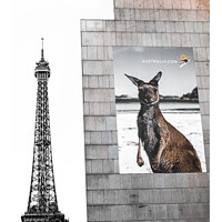 Buy canvas prints of Kangaroo in Paris by John Hemming