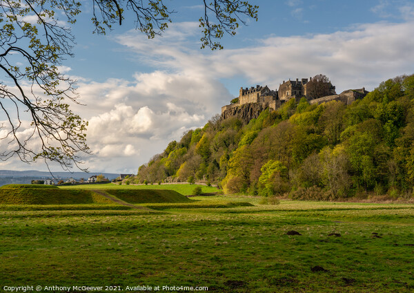 Stirling Castle  Picture Board by Anthony McGeever