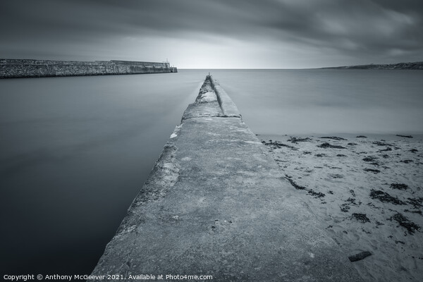 St Andrews Harbour in mono Picture Board by Anthony McGeever