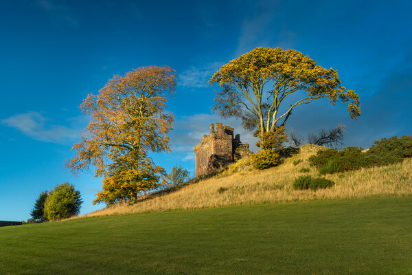 Balvaird Castle Golden Hour  Picture Board by Anthony McGeever