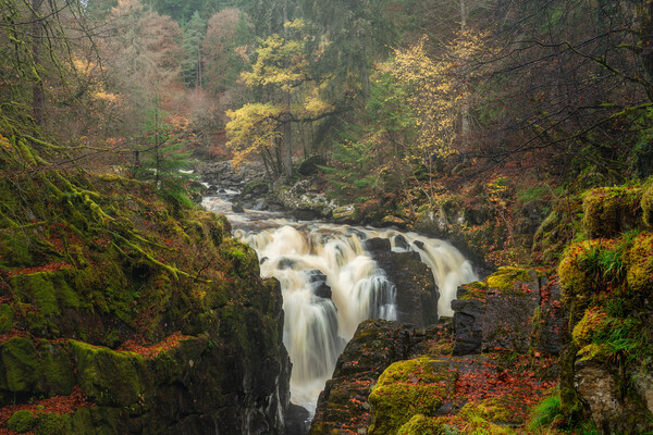 Dunkeld the Black Linn Falls Picture Board by Anthony McGeever