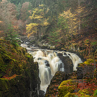 Buy canvas prints of Dunkeld the Black Linn Falls by Anthony McGeever