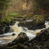 Buy canvas prints of The River Braan at Dunkeld by Anthony McGeever
