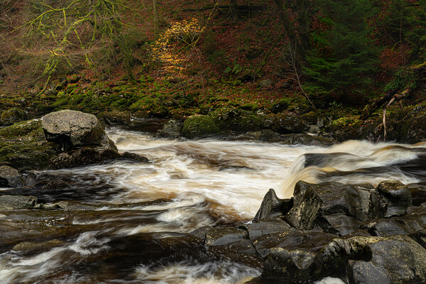 The river Braan Dunkeld  Picture Board by Anthony McGeever