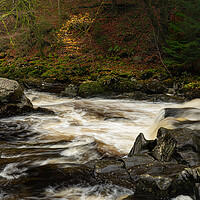 Buy canvas prints of The river Braan Dunkeld  by Anthony McGeever