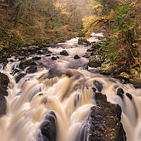 Buy canvas prints of Black Linn Falls Dunkeld  by Anthony McGeever