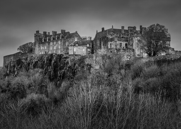Stirling Castle Black and White  Picture Board by Anthony McGeever