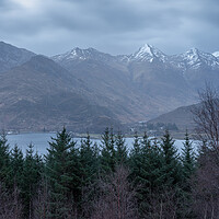 Buy canvas prints of The five sisters of Kintail  by Anthony McGeever