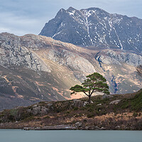 Buy canvas prints of Slioch  by Anthony McGeever