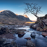 Buy canvas prints of The lone tree and Three Sisters of Glencoe  by Anthony McGeever