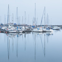 Buy canvas prints of Anstruther Harbour and Haar by Anthony McGeever