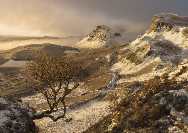 A winter sunrise on the Quiraing  Picture Board by Anthony McGeever