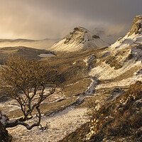 Buy canvas prints of A winter sunrise on the Quiraing  by Anthony McGeever