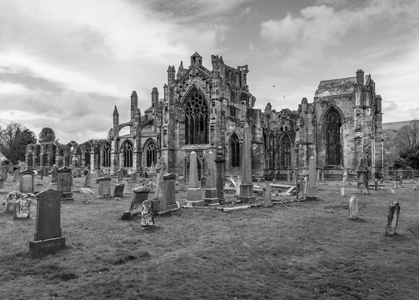 Melrose Abbey Black and White  Picture Board by Anthony McGeever