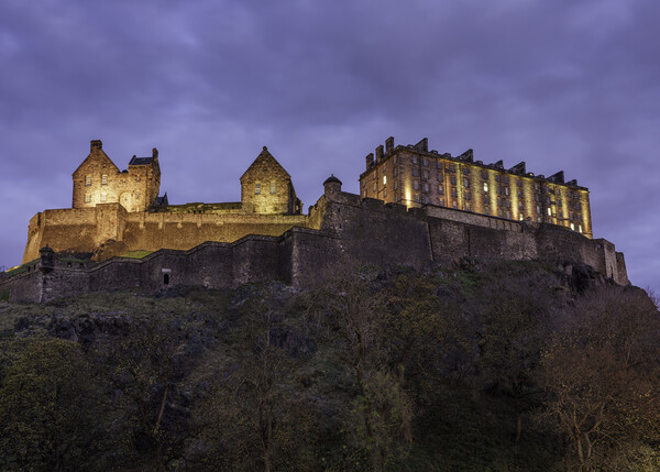 Edinburgh Castle at Night Picture Board by Anthony McGeever