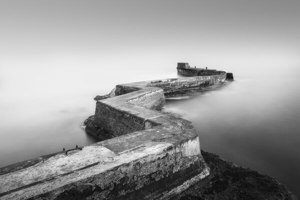 St Monans Pier Black and White  Picture Board by Anthony McGeever